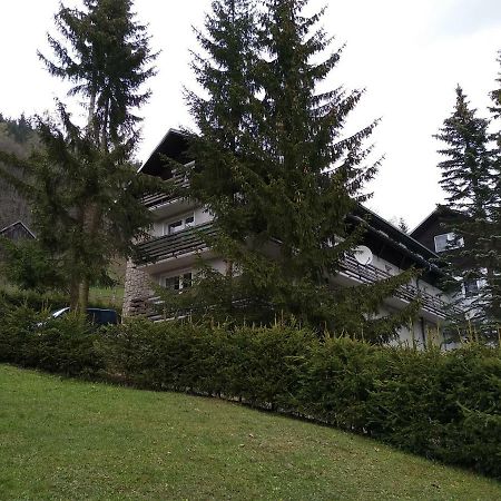 Krkonose Apartment 伊泽拉河畔亚布洛内茨 外观 照片