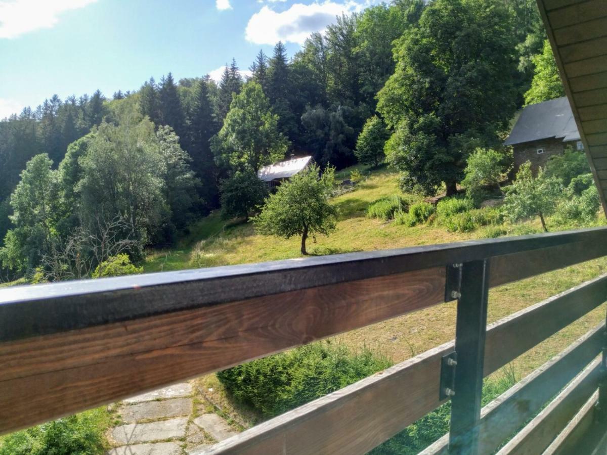 Krkonose Apartment 伊泽拉河畔亚布洛内茨 外观 照片