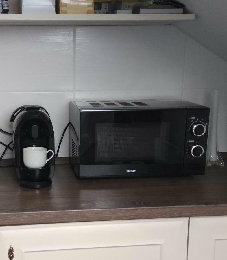 Krkonose Apartment 伊泽拉河畔亚布洛内茨 外观 照片